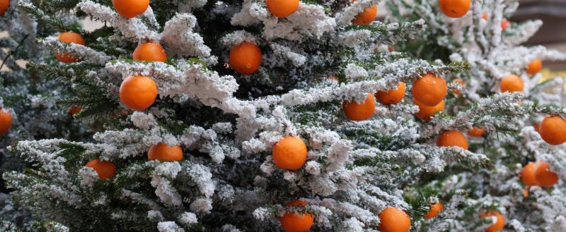 Фото Тимура Бойкова/Вологда-Поиск