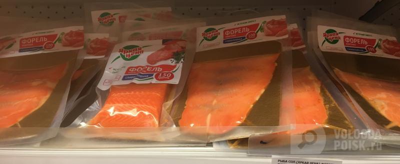 Фото: Вологда-поиск