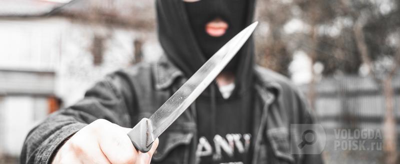 Фото: Вологда-поиск