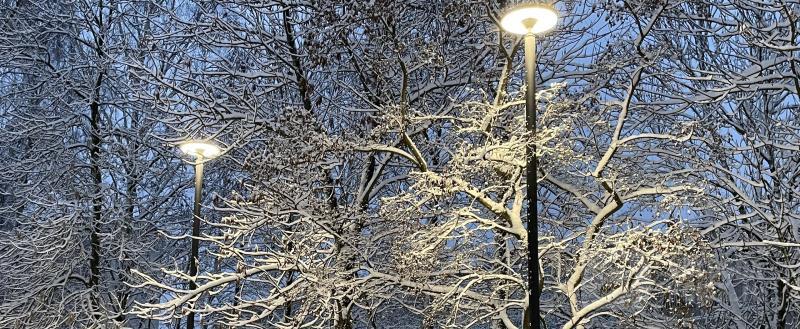 Фото: Вологда-поиск