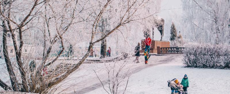 Фото Тимура Бойкова/Вологда-Поиск