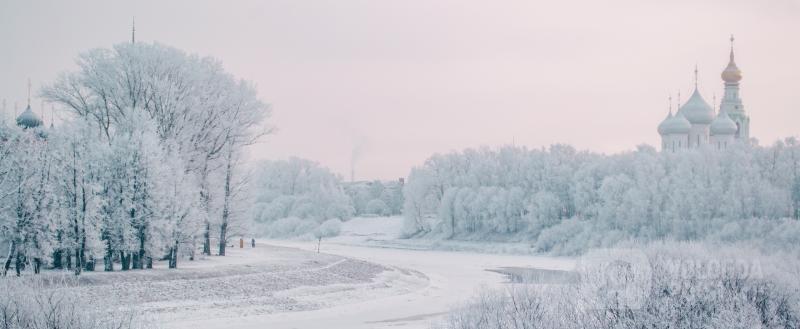 Вологда-Поиск