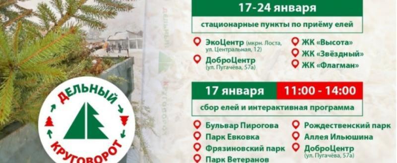 Вологжане смогут сдать отслужившие елки на переработку и помочь животным