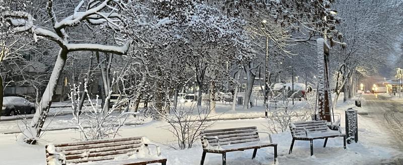 Фото Тимура Бойкова/Вологда-Поиск