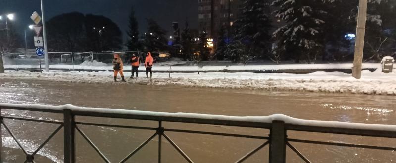 Фото Алексея Ниткина/