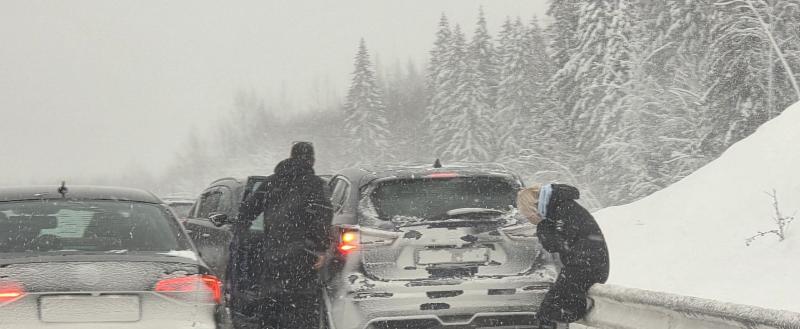 Фото портала 