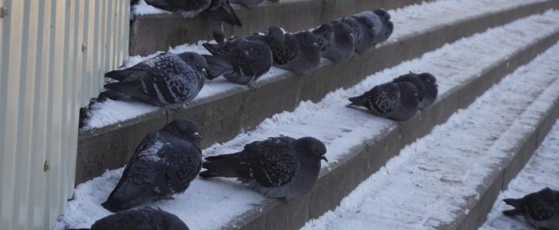 Фото Никиты Трушкова/