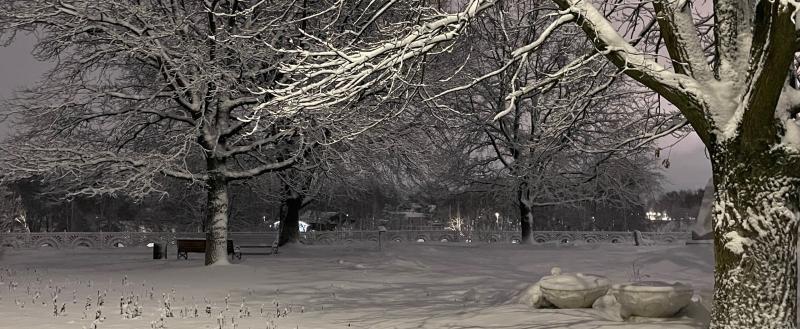 Фото Тимура Бойкова/Вологда-Поиск