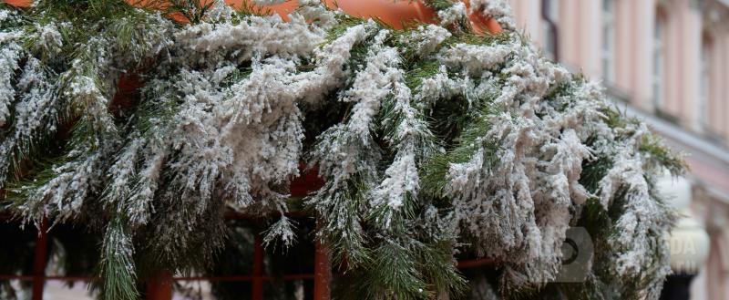 Вологда-Поиск