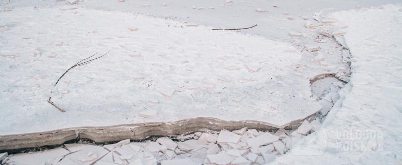 Тимур Бойков / Вологда-Поиск