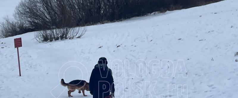 Фото Тимура Бойкова/Вологда-Поиск