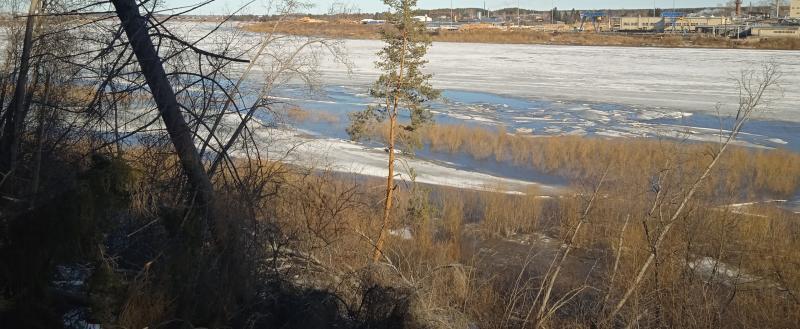 Фото Алексея Ниткина/