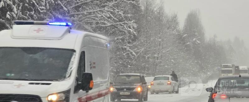 Вологда-поиск