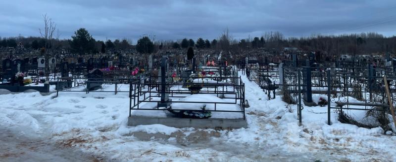 Вологда-поиск