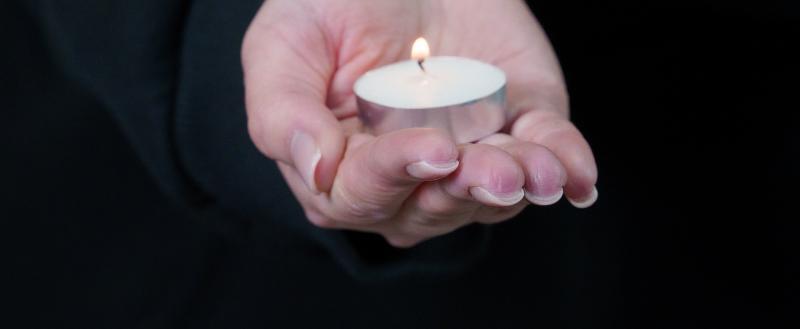 Фото Тимура Бойкова/Вологда-Поиск