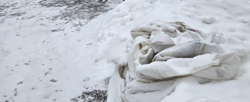 Фото - тг-канал Георгия Филимонова