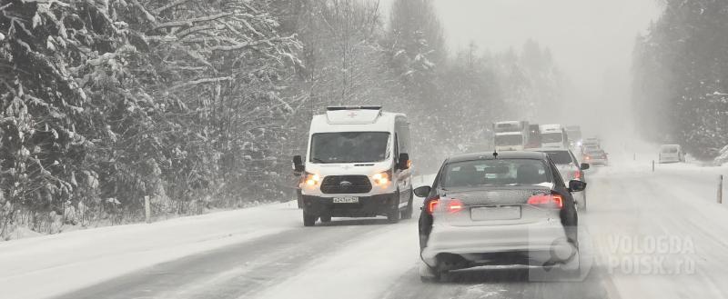 Фото: Вологда-поиск