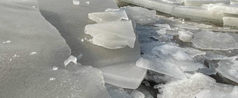 Тимур Бойков, Vologda-poisk.ru