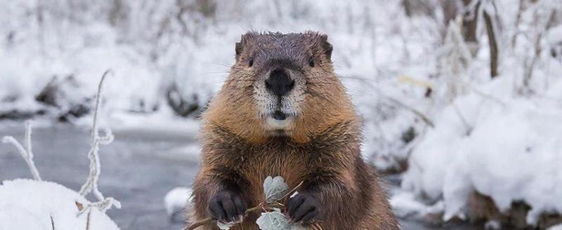 Фото сгенерировано нейросетью