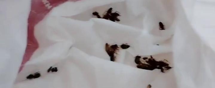 Принтскрин с видео