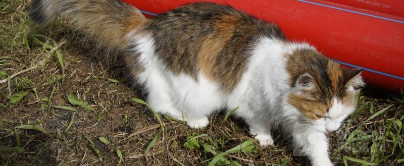 Вологда-поиск