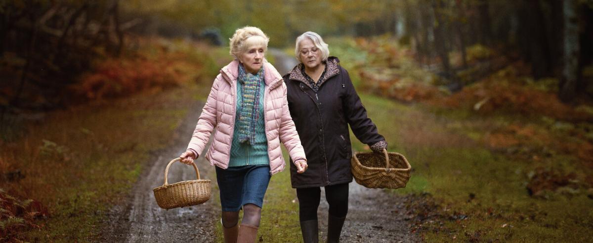 Что посмотреть дома? Киноновинки &laquo;в сети&raquo; от 15 января