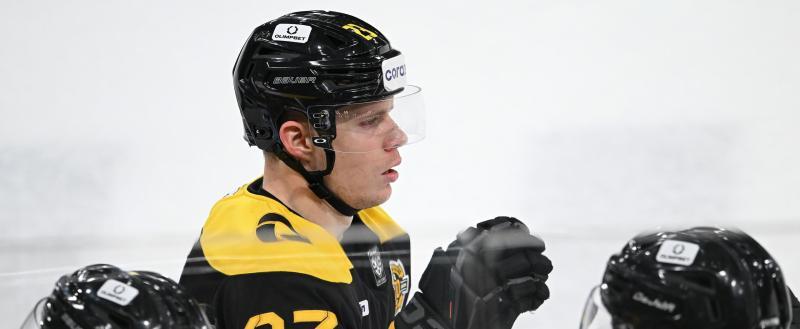 Фото: https://vk.com/hcseverstal