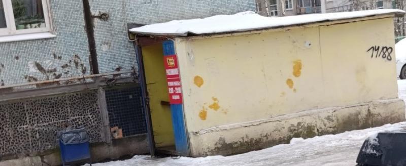 Фото - тг-канал главы региона