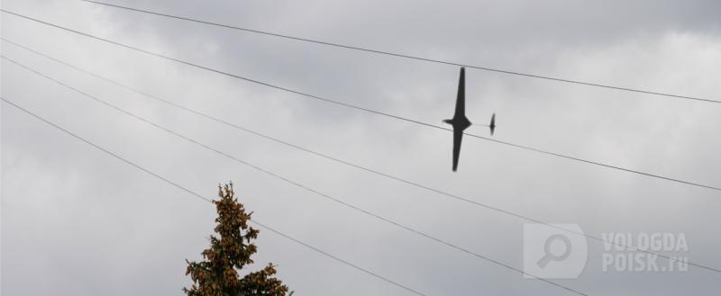 Вологда-поиск