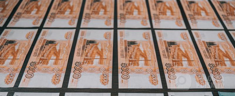 Фото: Вологда-поиск