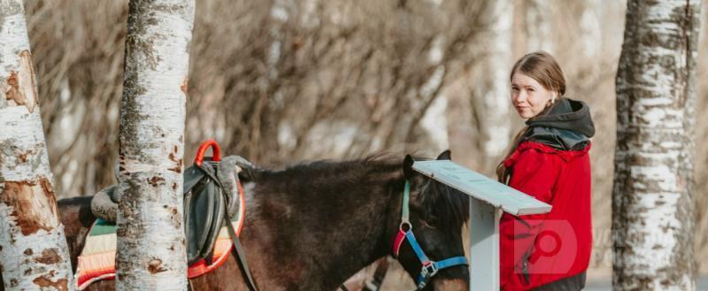 Вологда-поиск