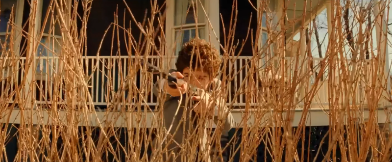 &laquo;Семейка Тененбаум&raquo;, 2001