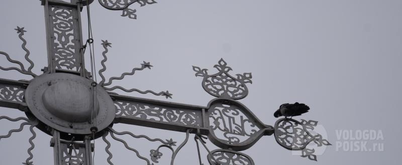 Вологда-поиск