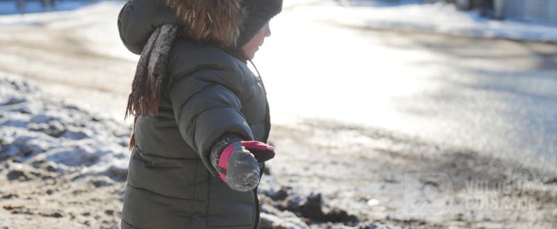 Фото: Вологда-поиск