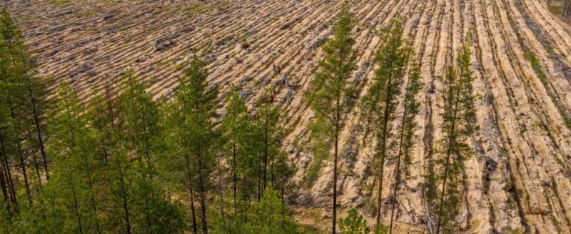 фото: АО «Транснефть - Север» 