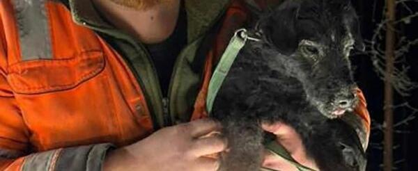 North Karelia Rescue Department