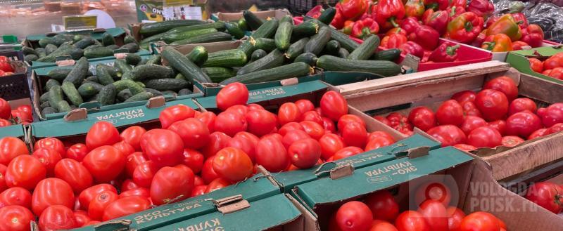 Фото: Вологда-поиск