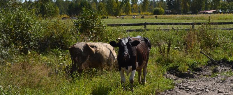 Фото портала 