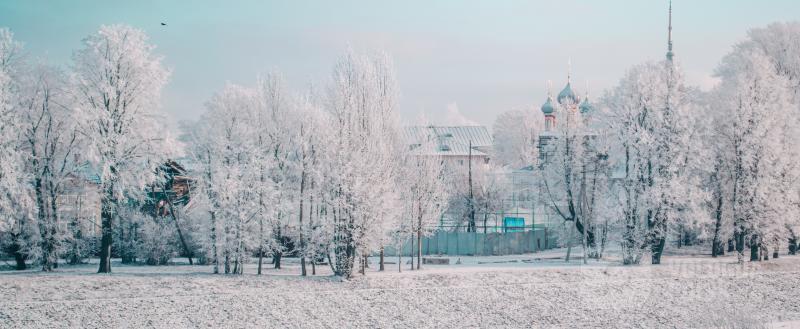 Вологда-Поиск