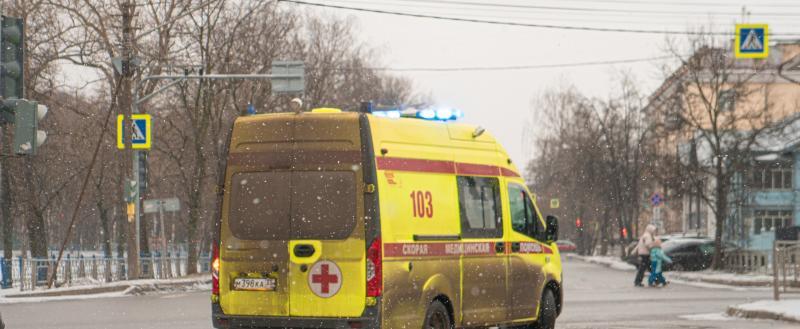 Фото Тимура Бойкова/Вологда-Поиск
