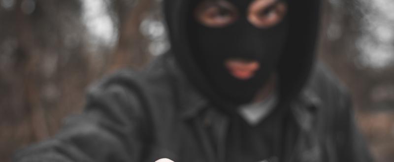 Фото Тимура Бойкова/Вологда-Поиск