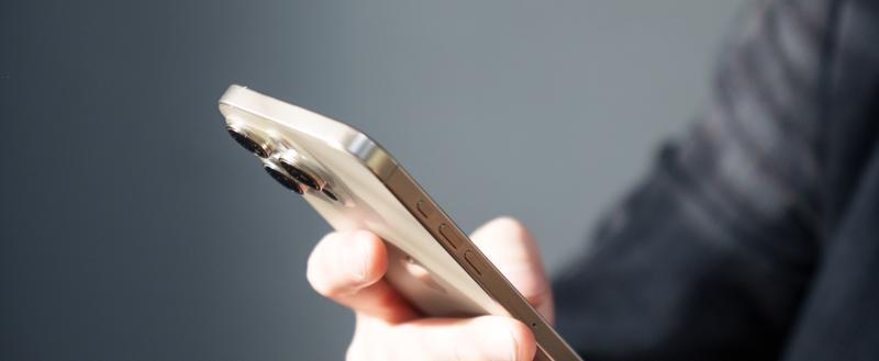 Фото Тимура Бойкова/Вологда-Поиск