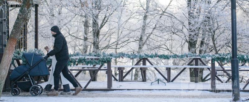 Вологда-Поиск