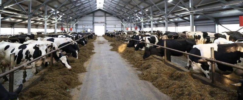 Фото @filimonov_official