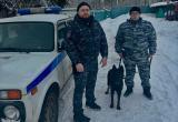 В Череповце двоих пропавших подростков пришлось искать с собаками