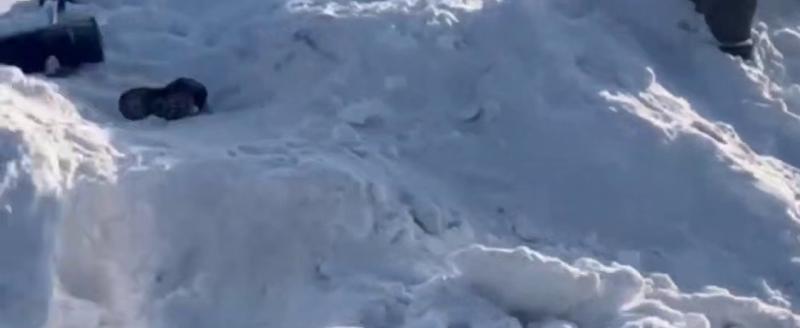 Принтскрин с видео