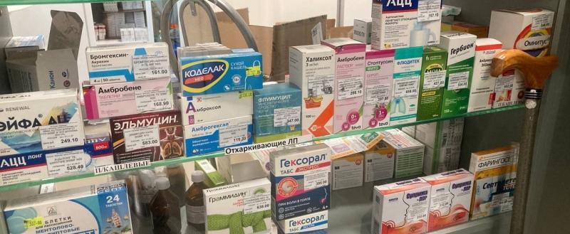 Фото Тимура Бойкова/Вологда-Поиск