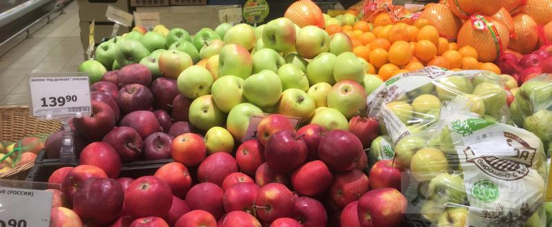 Фото: Вологда-поиск