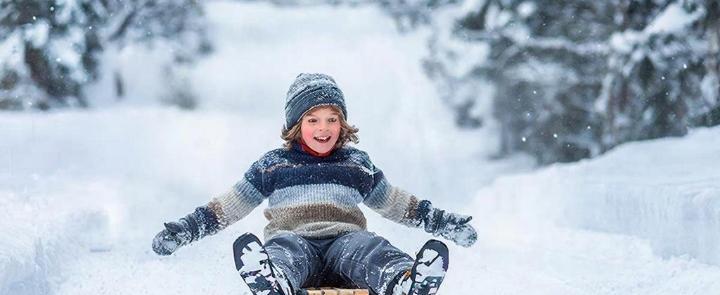 изображение сгенерировано ИИ 