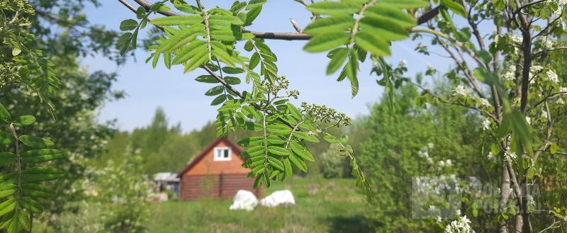 Фото: Вологда-поиск